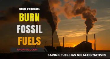 Where Humans Burn Fossil Fuels: Industries, Transport, and Energy Sources