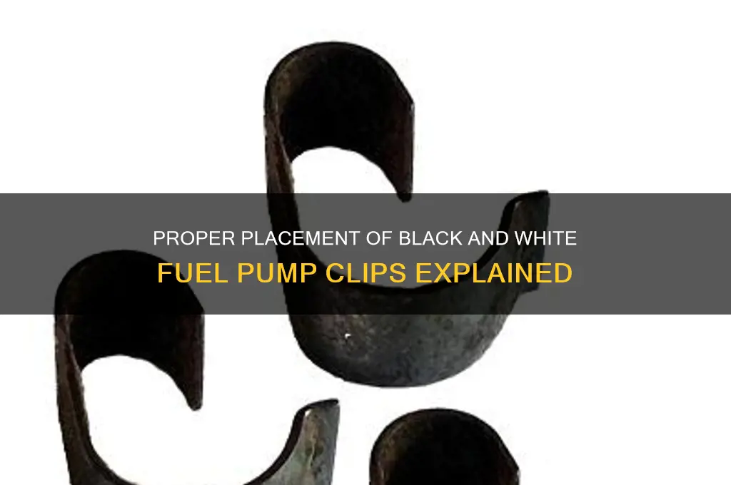 where do the black and white fuel pump clips go