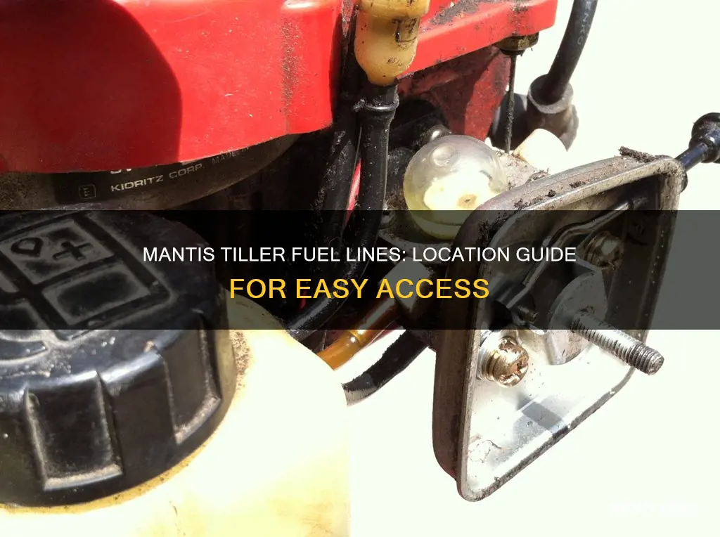 where do the fuel lines go on a mantis tiller