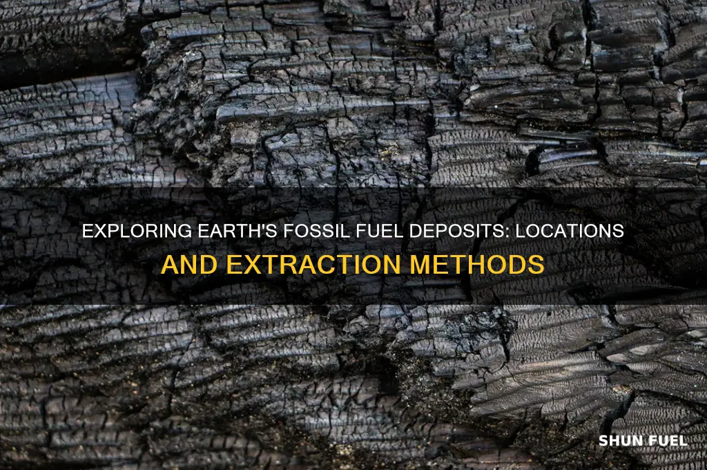 where do we find fossil fuels on earth