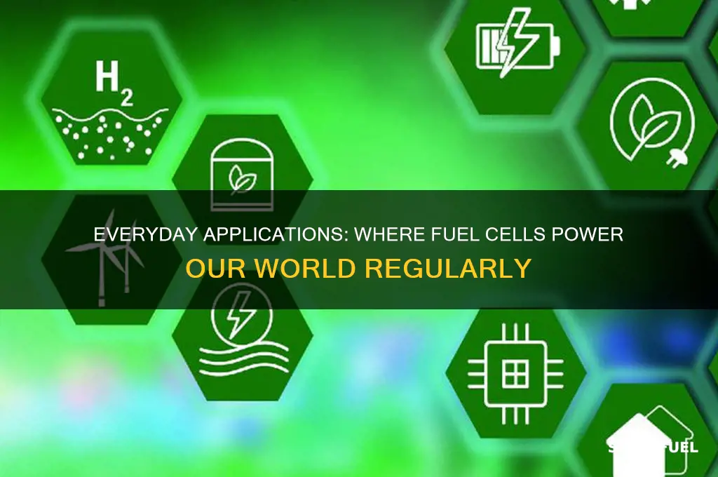 where do we find fuel cells being used regularly