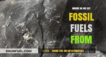 Uncovering the Origins: Where Do Fossil Fuels Come From?