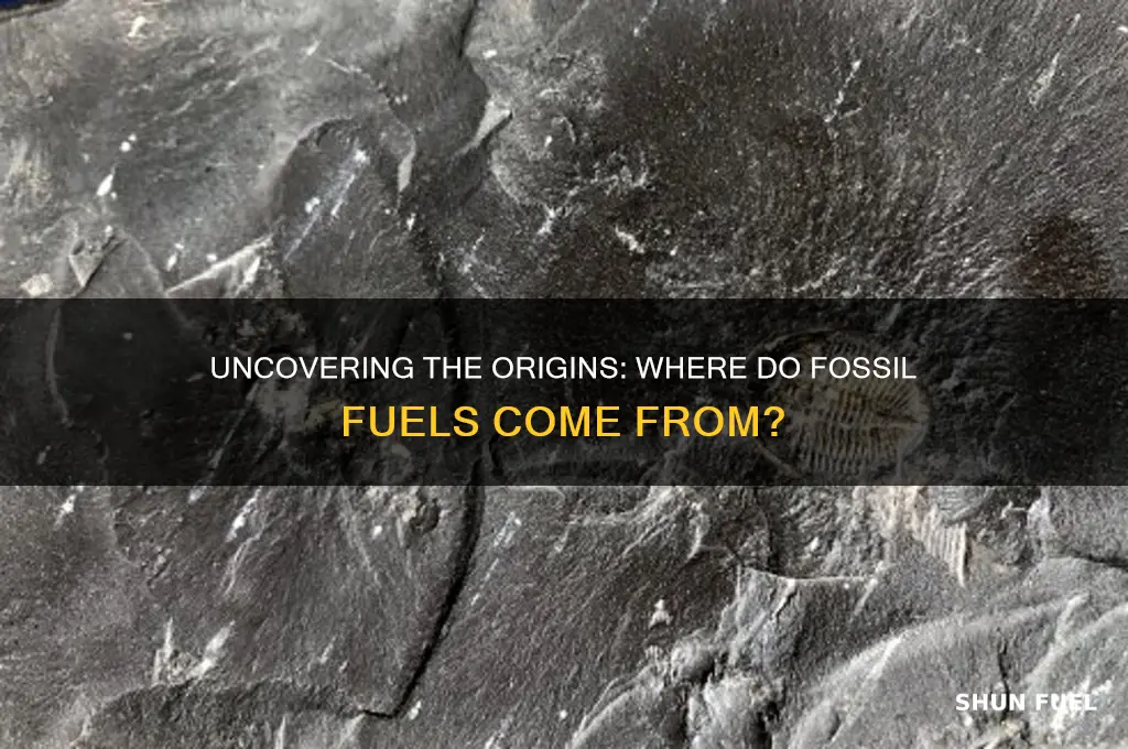 where do we get fossil fuels from