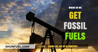 The Origin of Fossil Fuels: A Deep Dive