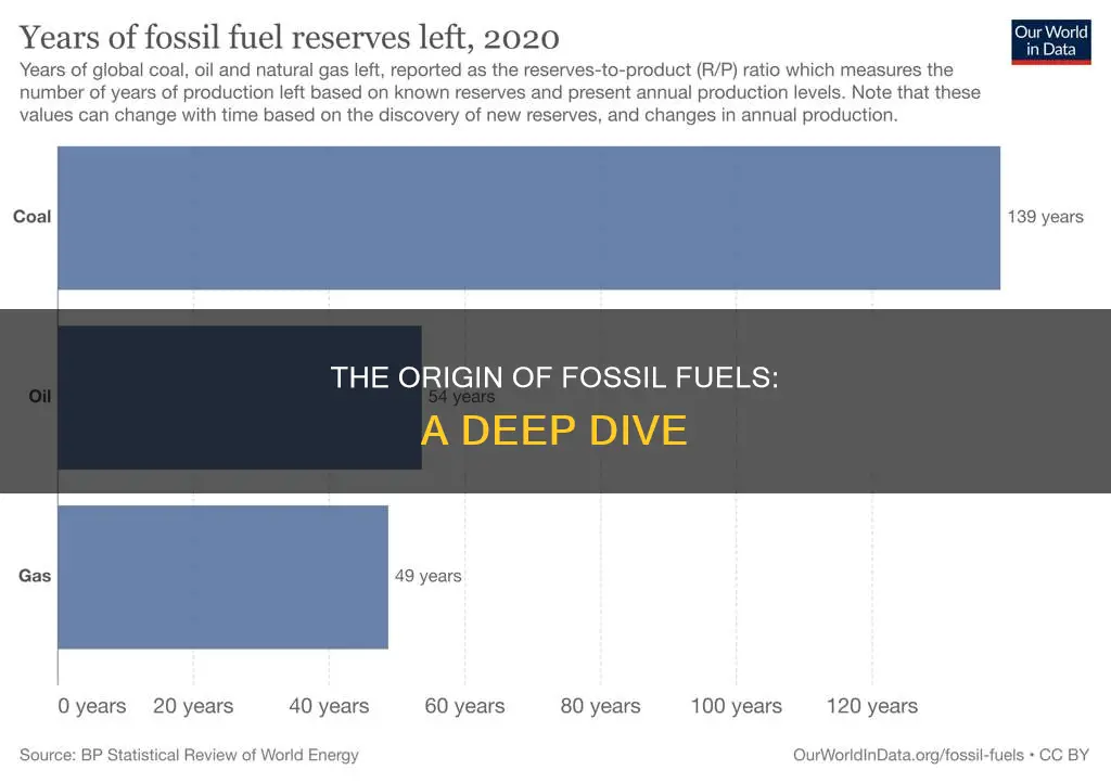 where do we get fossil fuels