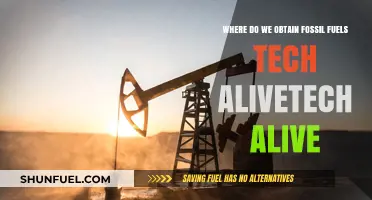 Exploring Fossil Fuel Tech: Sources, Extraction, and Alive Innovations