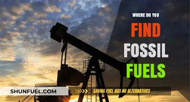 The Earth's Fossil Fuel Treasures: Where to Find Them?