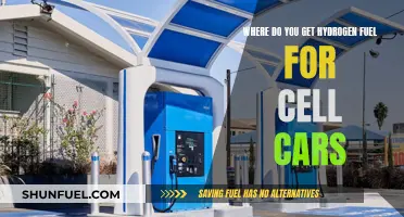 Hydrogen Fuel Sourcing for Cell Cars: Exploring Options