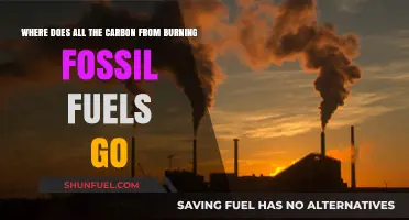 Where Does Carbon from Burning Fossil Fuels Disappear To?