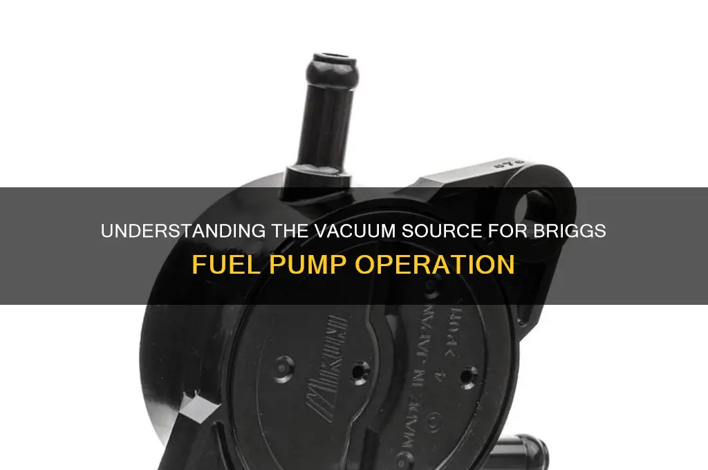 where does briggs fuel pump get its vacuum