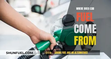 The Evolution of Car Fuel: Sources and Origins