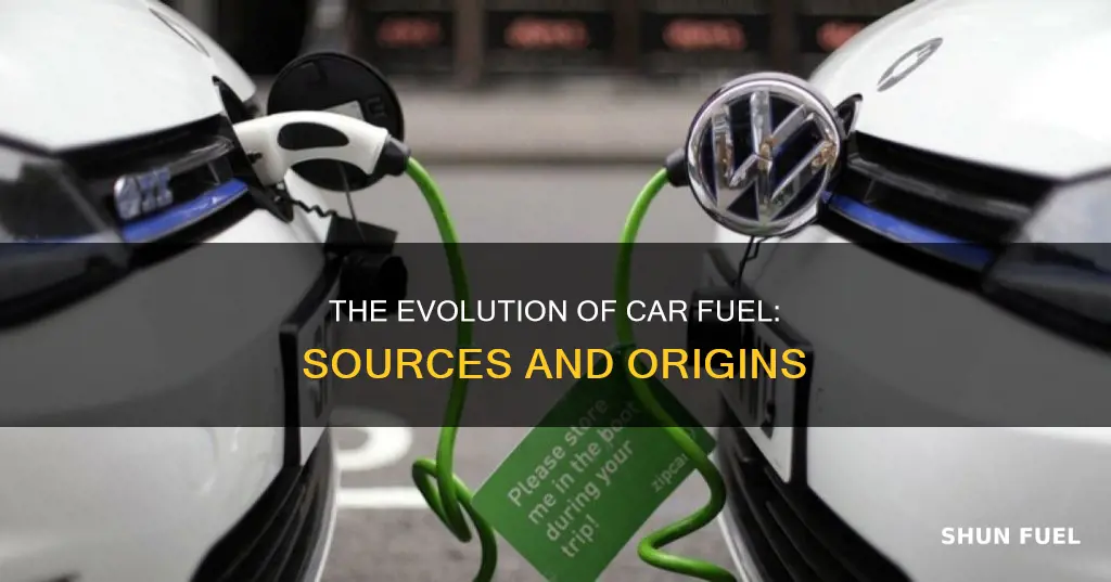 where does car fuel come from