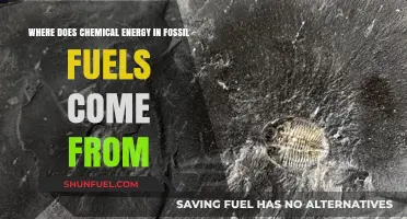 Unveiling the Ancient Origins of Fossil Fuels' Chemical Energy