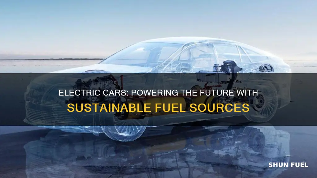 where does electric cars get their fuel