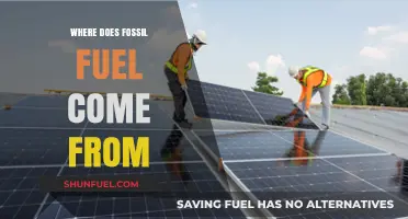 The Origin of Fossil Fuels: A Historical Perspective
