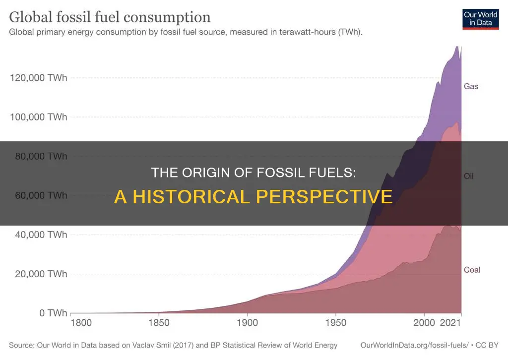where does fossil fuel come from