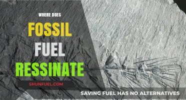 Where Does Fossil Fuel Resonate: Origins and Environmental Impact Explained