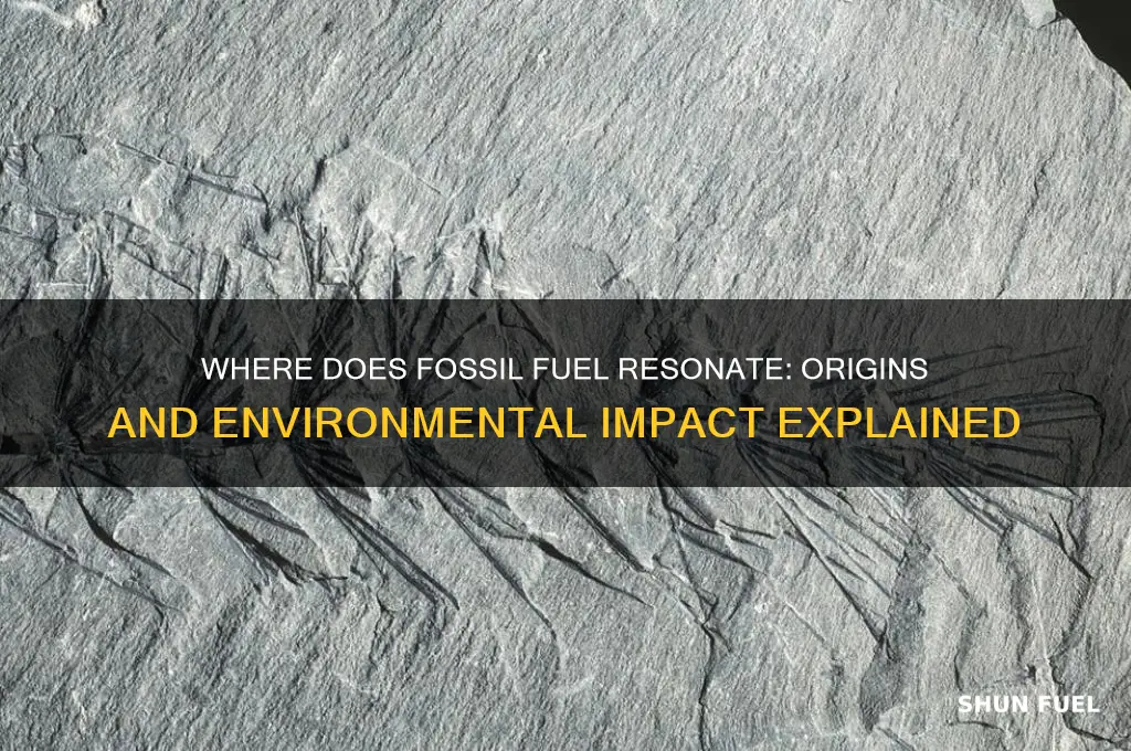 where does fossil fuel ressinate
