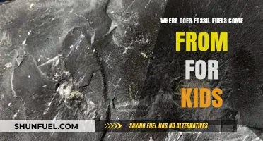 Unearthing the Past: How Fossil Fuels Form for Curious Kids