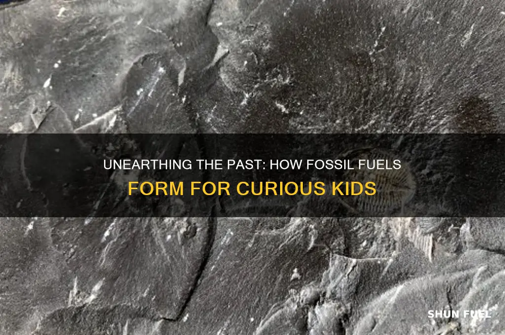 where does fossil fuels come from for kids