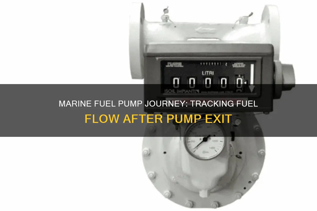 where does fuel go after leaving marine fuel pump