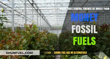 General Finance NZ Investments: Fossil Fuel Holdings Under Scrutiny
