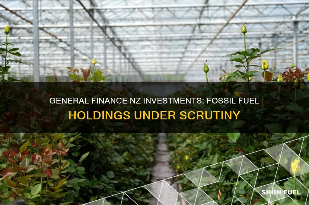 where does general finance nz invest their money fossil fuels
