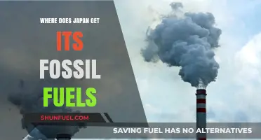 Japan's Fossil Fuel Sources: Import Dependence and Energy Strategies