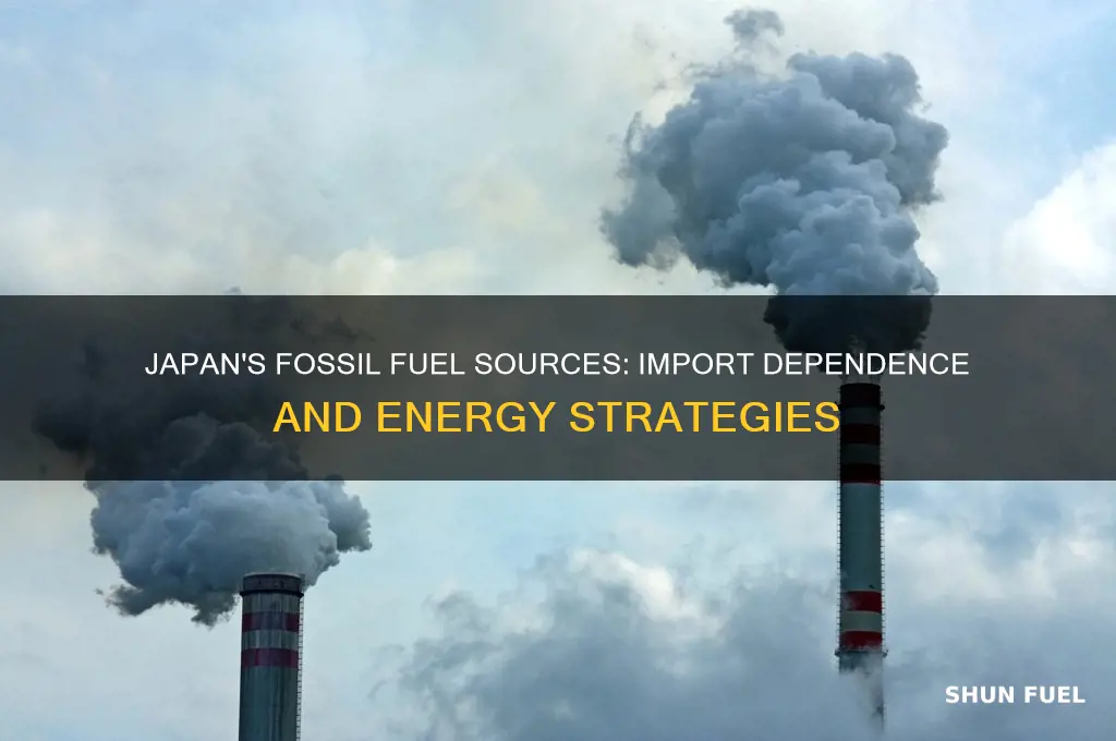 where does japan get its fossil fuels