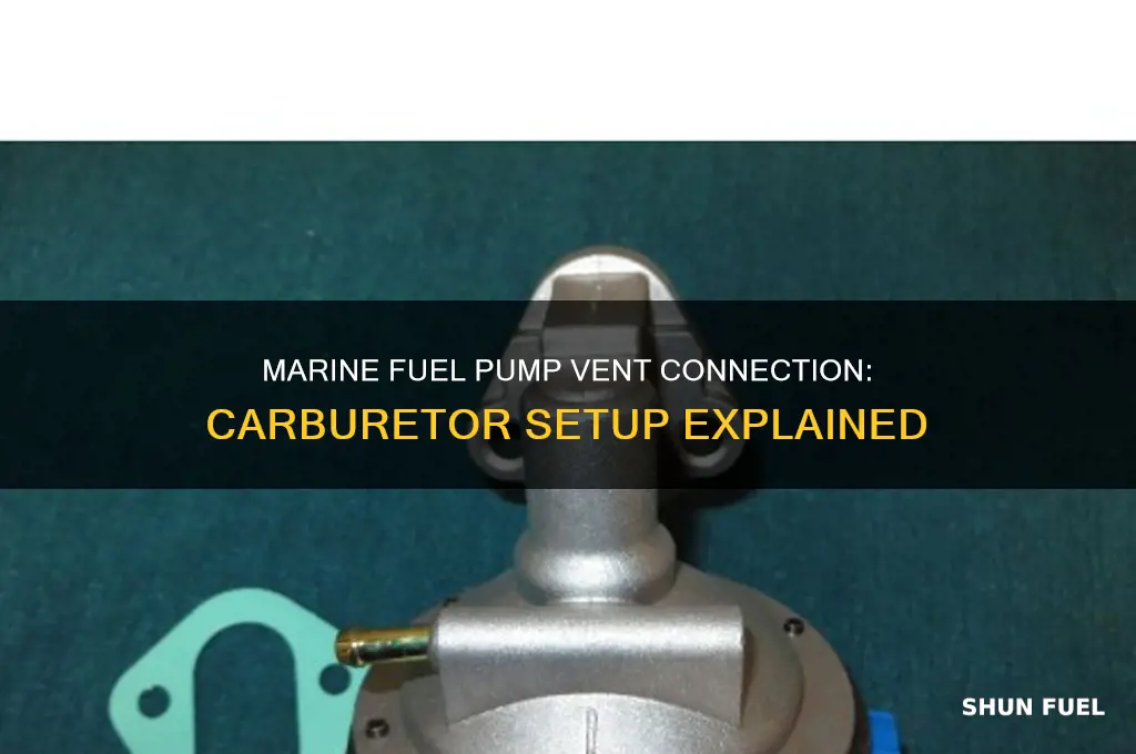 where does marine fuel pump vent connect on a carb