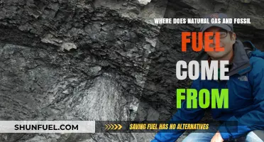 Origins of Natural Gas and Fossil Fuels: A Geological Journey