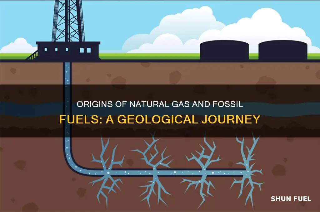 where does natural gas and fossil fuel come from
