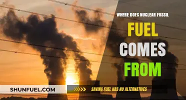 Unveiling the Origins of Nuclear Fossil Fuel: A Comprehensive Exploration