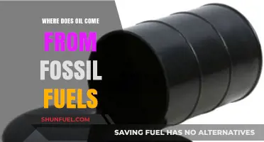 Unveiling the Origins: How Fossil Fuels Produce Our Oil