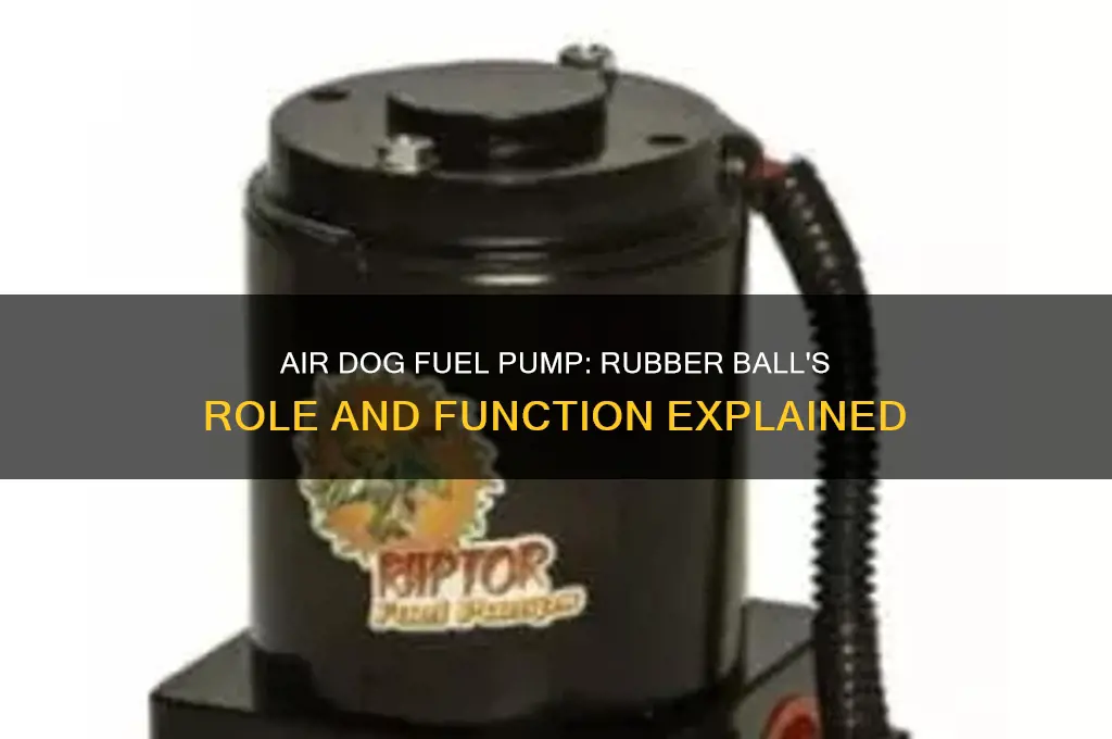 where does rubber ball go in air dog fuel pump