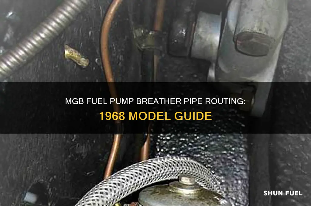 where does the 1968 mgb fuel pump breather pipe go
