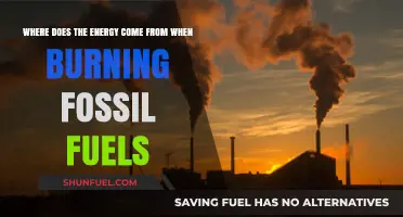 Unveiling the Source: Energy Origins in Fossil Fuel Combustion