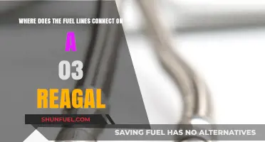 Reagle Fuel Line Connections: A Comprehensive Guide