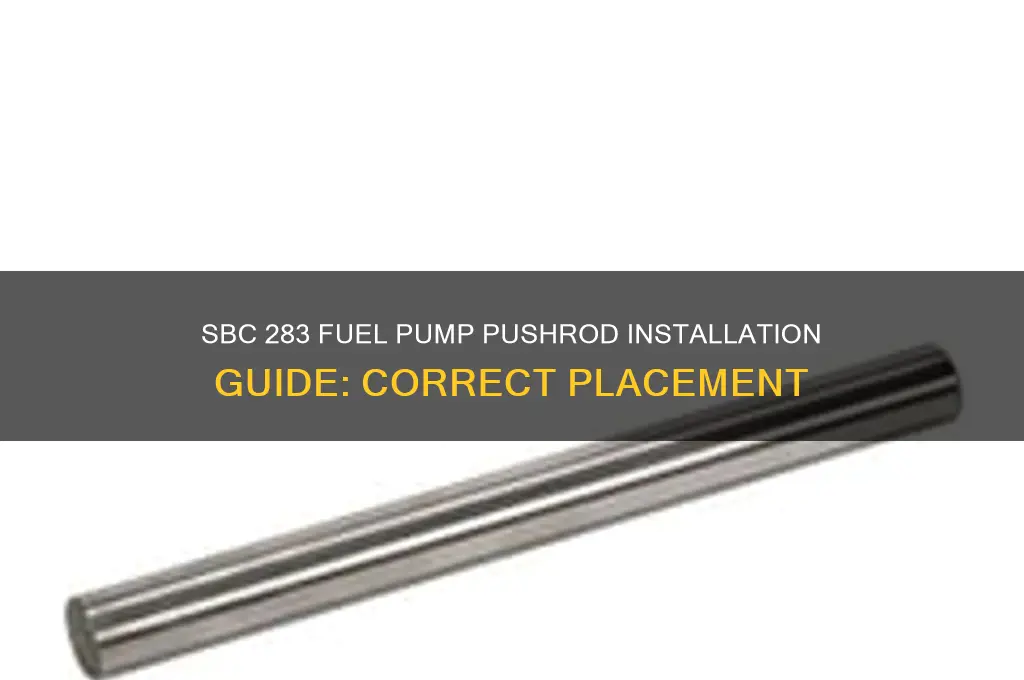 where does the fuel pump pushrod go on sbc 283