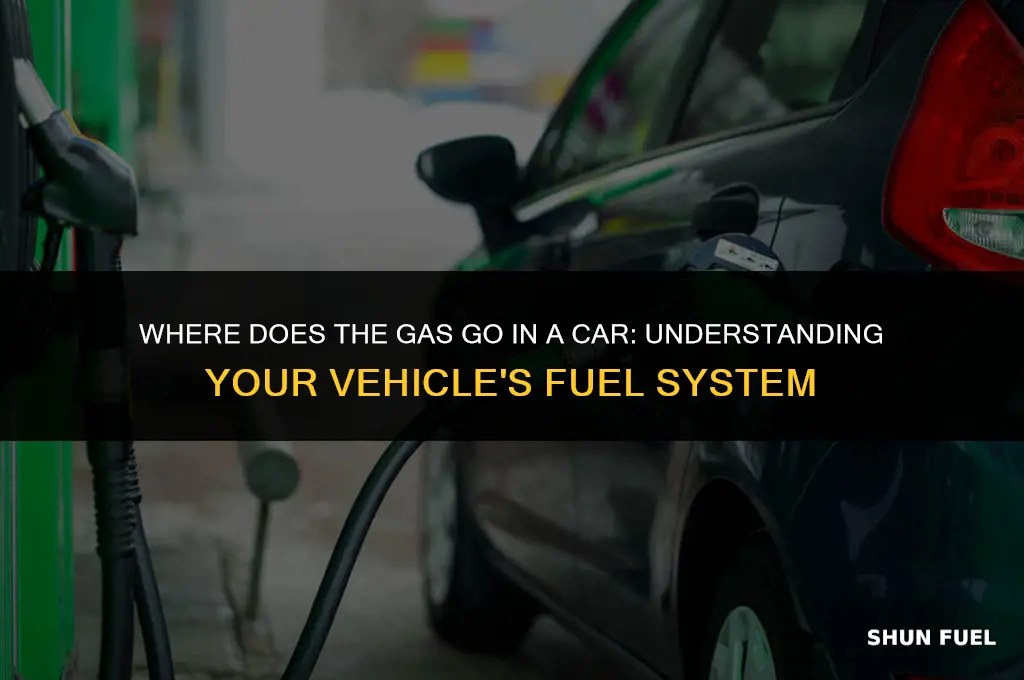 where does the gas go in a car