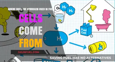 Exploring Hydrogen Sources for Fuel Cells: Origins and Production Methods