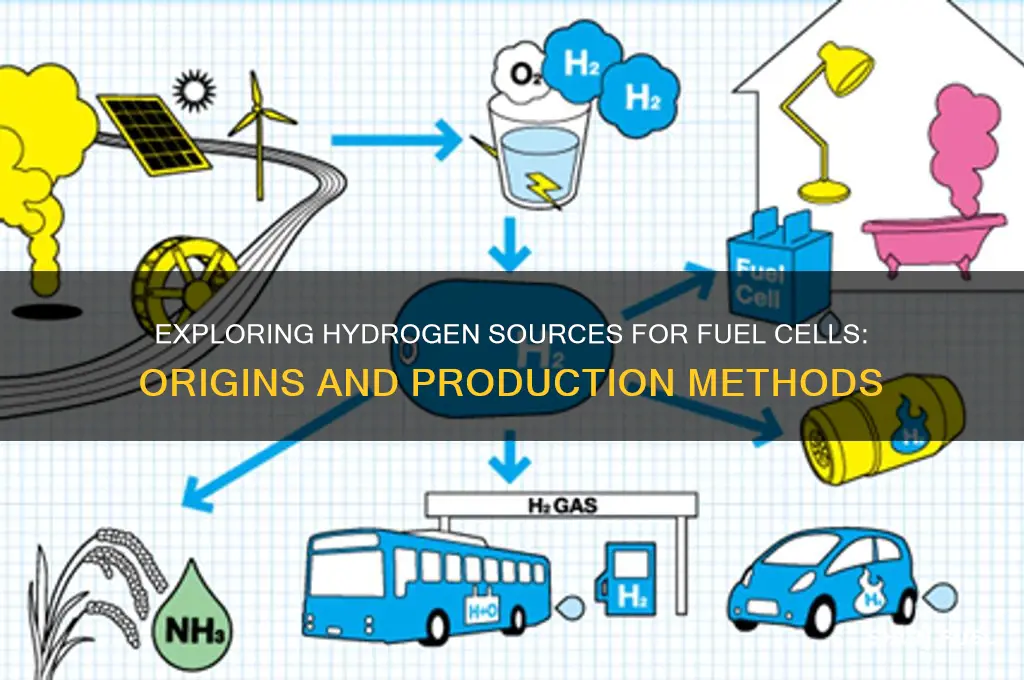 where does the hydrogen used in fuel cells come from