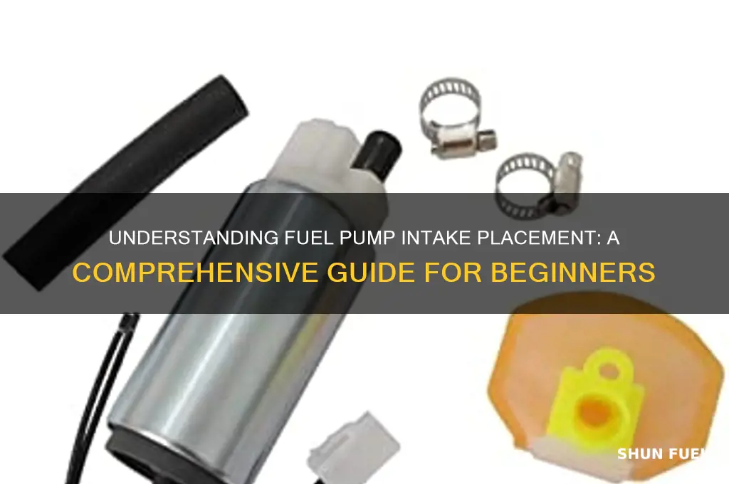 where does the intake on fuel pump go