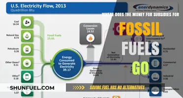 Tracing the Flow: Where Fossil Fuel Subsidy Funds Really End Up