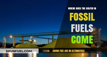 Unraveling the Mystery: Sulfur's Origin in Fossil Fuels Explained