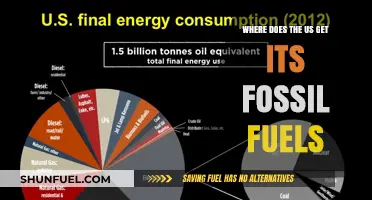 Tracing America's Fossil Fuel Sources: Origins and Supply Chains Explained