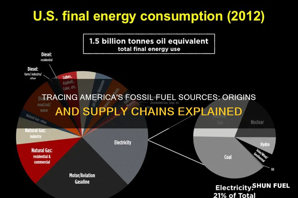 where does the us get its fossil fuels