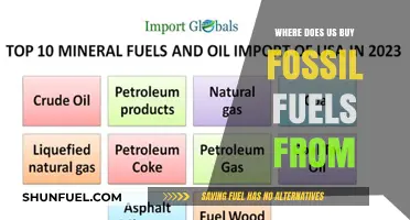 Where Does the US Source Its Fossil Fuels From?