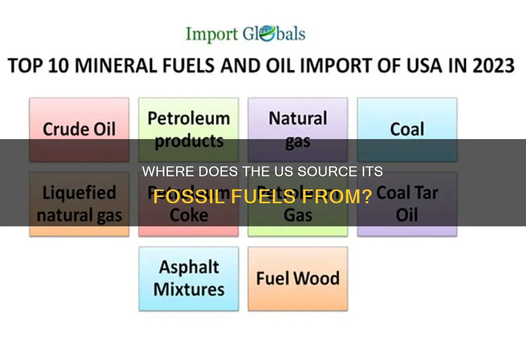 where does us buy fossil fuels from