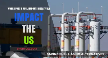 Fossil Fuel Imports: Economic and Environmental Toll on the US